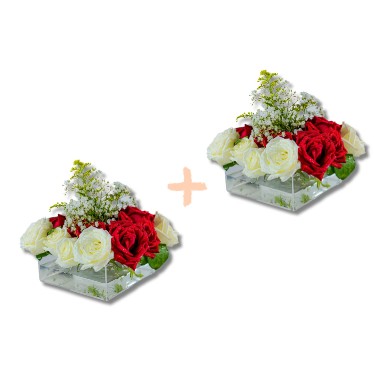KIT 2 UN Vaso de Flores em Acrílico de Mesa 16 x 16 x 6 cm 1